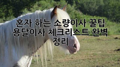 혼자 하는 소량이사 꿀팁🍯: 용달이사 체크리스트 완벽 정리!
