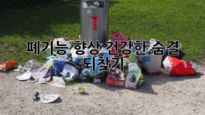 폐기능 향상: 건강한 숨결 되찾기