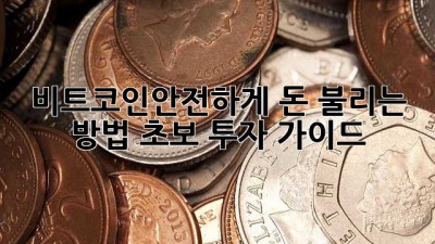 비트코인💰안전하게 돈 불리는 방법: 초보 투자 가이드🚀